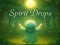 Spill Spirit Drops online