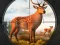Spill Wild Animal Hunting online