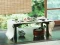 Spill Japanese Food online