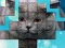 Spill PicPu Cat online