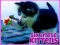Spill Six Little Kittens online