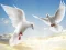 Spill Flying Birds online