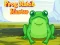 Spill Frog Match Master online