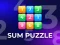 Spill Sum Puzzle: Arithmetic online