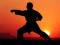 Spill Karate Sunset Warriors online