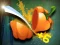 Spill Veggie Slicer online