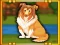 Spill Bernese Mountain Dog Escape online