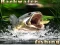 Spill Backwater Fishing online