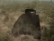 Spill Tank Battle online