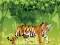 Spill Angry Tiger Coloring online