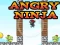 Spill Angry Ninja online
