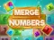 Spill Merge Numbers online