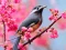 Spill Lovable Birds online