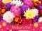 Spill 2019 Mother's Day Puzzle online