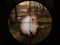 Spill Classical Rabbit Sniper Hunting 2019 online