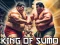 Spill King Of Sumo the ultimate brawl online