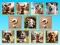 Spill Doggie Duo Discoveries online