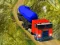 Spill Indian Cargo Truck Simulator online