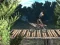 Spill Bike Trial Xtreme Forest online