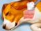Spill Dog Hospital online
