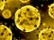 Spill Coronavirus Slide online