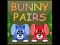 Spill Bunny Pairs online