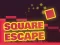 Spill Square Escape online