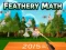 Spill Feathery Math online