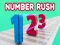 Spill Number Rush online