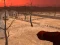 Spill Wasteland Shooters online