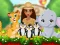 Spill Moana Cute Zoo online