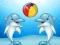 Spill Dolphin Show online
