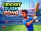 Spill Cricket Clash Pong online