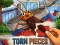 Spill Torn Pieces online