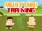 Spill Muay Thai Training online