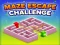 Spill Maze Escape Challenge online