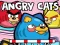 Spill Angry Cats online