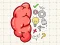 Spill Brain Tricky Puzzles online