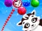 Spill Raccoon Rescue online