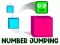 Spill Number Jumping online