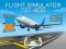 Spill Flight Simulator 737-800 online