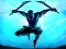 Spill Shadow Ninja Revenge online
