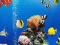 Spill Sea Underwater Difference online
