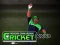 Spill Cricket Fielder Challenge online