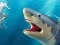 Spill Shark Hunting online