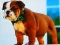 Spill Bulldog Puppy Puzzle online