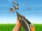 Spill Bird Hunting online
