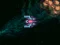 Spill Asteroid Crush online