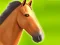 Spill Horse Run 3D online