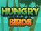 Spill Hungry Birds online